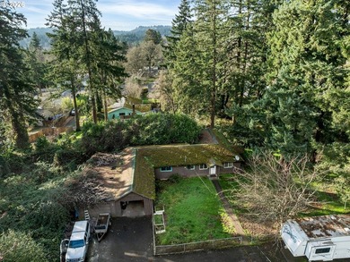 Great development opportunity on a one-acre lot in Milwaukie. A - photo 5