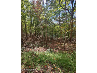 Norris Lake Lot For Sale in Speedwell Tennessee