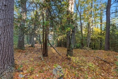 Unique Opportunity to own 1400' of waterfront on the Upper New - photo 3