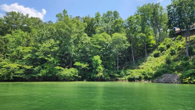 Close to Trident Marina, deep water, what more could you want? - Lake Lot For Sale in Crane Hill, Alabama