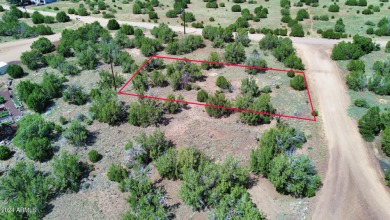 Lake Lot For Sale in Show Low, Arizona