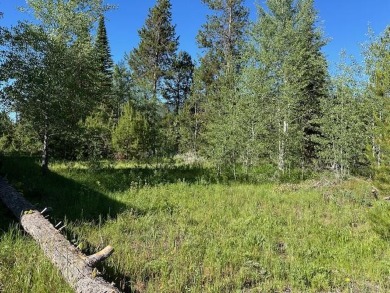 Lake Lot For Sale in Donnelly, Idaho