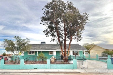 Fully remodeled corner-lot home featuring a spacious backyard