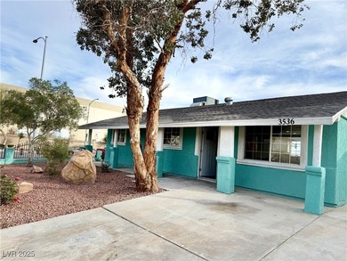 Fully remodeled corner-lot home featuring a spacious backyard