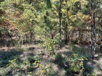 OWNER FINANCING AVAILABLE Wow what a beautiful piece of property - photo 4