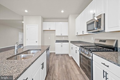 The Jefferson, an impressive ranch home, features single-level - photo 10