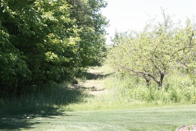 The Venturi a great ranch floor-plan. Ready to start - photo 7