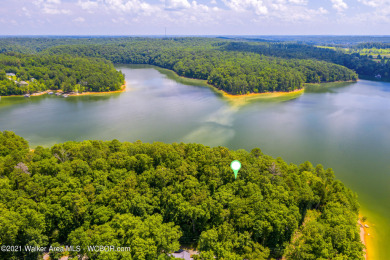 Lake Lot For Sale in Logan, Alabama