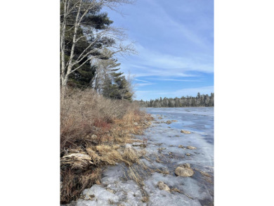 Lake Lot For Sale in Marion, Maine
