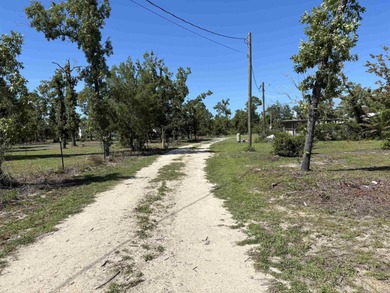 INCOME OPPORTUNITY WITH 4 POSSIBLE YEAR ROUND RV SPOTS ON 1 - photo 11