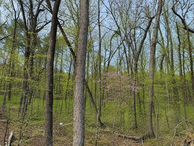 Lake views and wooded privacy come together in this - photo 43