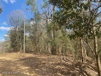 MUST SEE!! 25 AC M/L LAND WITH DENSE TIMBER, PERFECT FOR HUNTING - photo 1