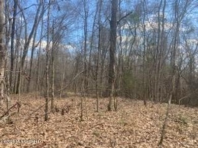 MUST SEE!! 25 AC M/L LAND WITH DENSE TIMBER, PERFECT FOR HUNTING - photo 2