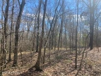 MUST SEE!! 25 AC M/L LAND WITH DENSE TIMBER, PERFECT FOR HUNTING - photo 3