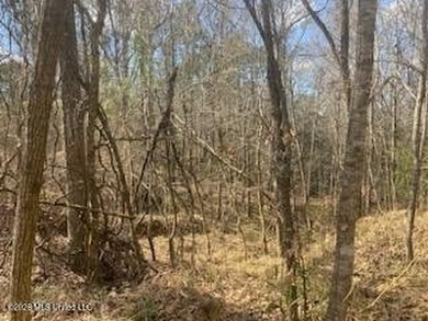 MUST SEE!! 25 AC M/L LAND WITH DENSE TIMBER, PERFECT FOR HUNTING - photo 4