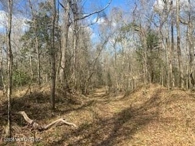 MUST SEE!! 25 AC M/L LAND WITH DENSE TIMBER, PERFECT FOR HUNTING - photo 5