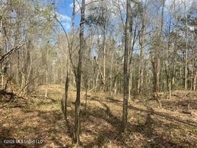 MUST SEE!! 25 AC M/L LAND WITH DENSE TIMBER, PERFECT FOR HUNTING - photo 6