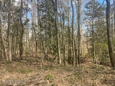 MUST SEE!! 25 AC M/L LAND WITH DENSE TIMBER, PERFECT FOR HUNTING - photo 7