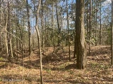 MUST SEE!! 25 AC M/L LAND WITH DENSE TIMBER, PERFECT FOR HUNTING - photo 8