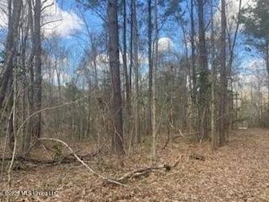 MUST SEE!! 25 AC M/L LAND WITH DENSE TIMBER, PERFECT FOR HUNTING - photo 9