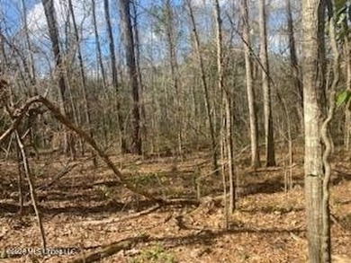 MUST SEE!! 25 AC M/L LAND WITH DENSE TIMBER, PERFECT FOR HUNTING - photo 10