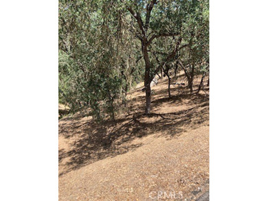 Lake Nacimiento Lot For Sale in Bradley California