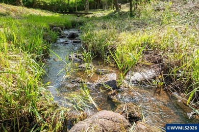 Bring your ideas to this 1.6 acre private lot on the outskirts - photo 3