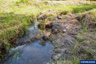 Bring your ideas to this 1.6 acre private lot on the outskirts - photo 4