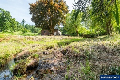 Bring your ideas to this 1.6 acre private lot on the outskirts - photo 5