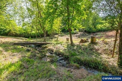 Bring your ideas to this 1.6 acre private lot on the outskirts - photo 7