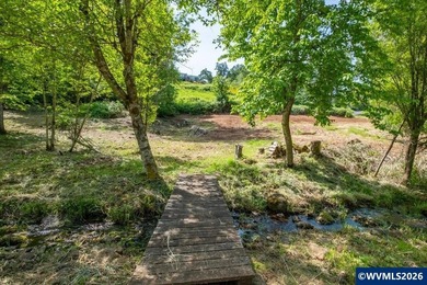 Bring your ideas to this 1.6 acre private lot on the outskirts - photo 8