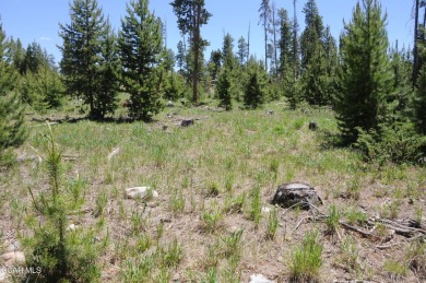 Lake Lot For Sale in Grand Lake, Colorado