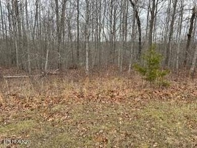 (private lake, pond, creek) Acreage For Sale in Crawford Tennessee