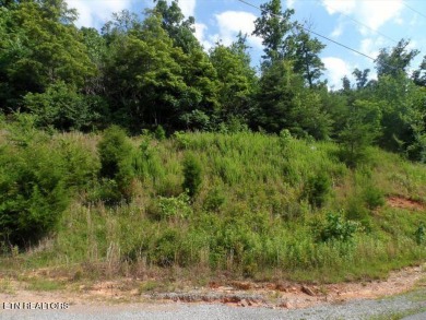 Lake Acreage Off Market in New Tazewell, Tennessee