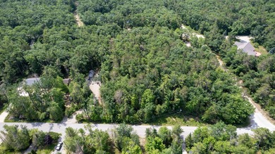 Build your Up North getaway in the desirable Cordwood Point - photo 1