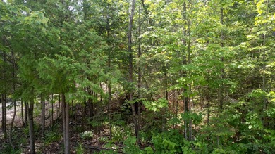 Build your Up North getaway in the desirable Cordwood Point - photo 4