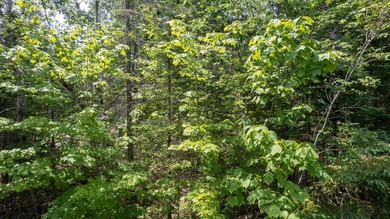 Build your Up North getaway in the desirable Cordwood Point - photo 5