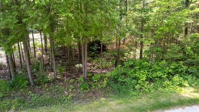 Build your Up North getaway in the desirable Cordwood Point - photo 6
