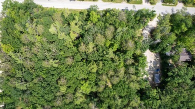 Build your Up North getaway in the desirable Cordwood Point - photo 9