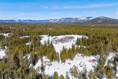 (private lake, pond, creek) Acreage For Sale in Marion Montana