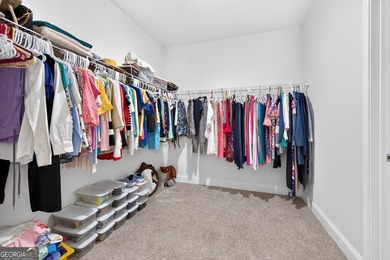Luxury Living in a Vibrant 55+ Community Experience the perfect - photo 33