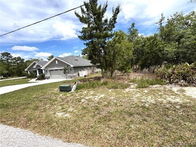 Welcome to this beautifully maintained 3-bedroom, 2-bathroom - photo 43