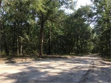 Crooked River Acreage Active Under Contract in Woodbine Georgia