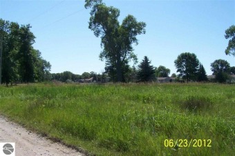 Lake Huron - Arenac County Acreage For Sale in Au Gres Michigan