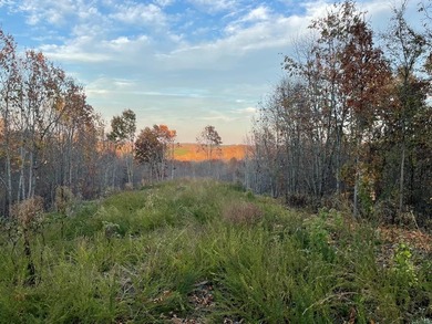 Kentucky Lake Acreage For Sale in Stewart Tennessee