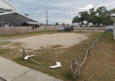 Rare opportunity to own commercial property in Old Town Bay St - photo 1