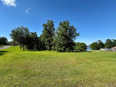 Located in Brandon Estates, Lot 57 offers 1.04 acres in a great - photo 4