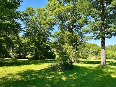 Located in Brandon Estates, Lot 57 offers 1.04 acres in a great - photo 7