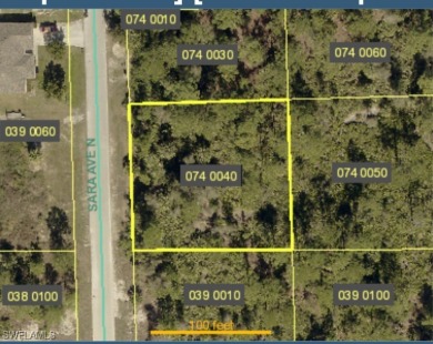 Lehigh Acres Area Lot For Sale in Lehigh Acres Florida