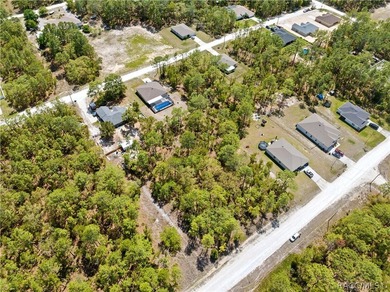 Build your dream home on this 0.46-acre vacant lot in Weeki - photo 10